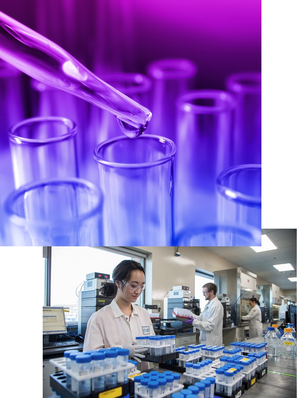 Process transparency