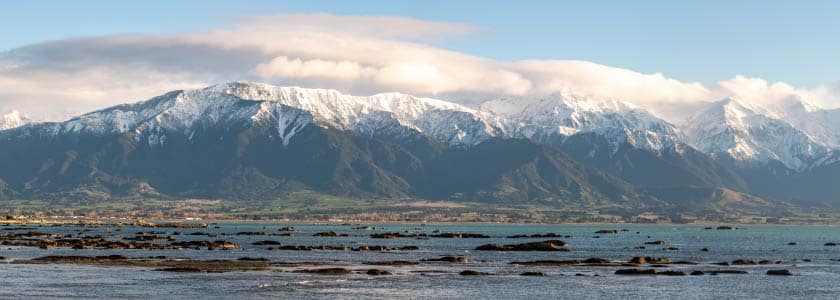 Prehistoric New Zealand Earthquake: A DNA Story