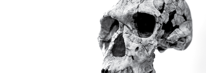 Early humans and Neanderthals: The original family feud